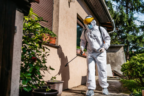 Best Pest Inspection Near Me  in Phillipsburg, NJ