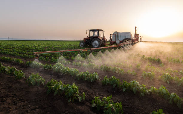 Best Mosquito Control Services  in Phillipsburg, NJ