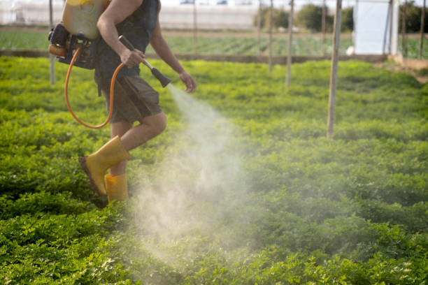 Best Pest Removal Services  in Phillipsburg, NJ